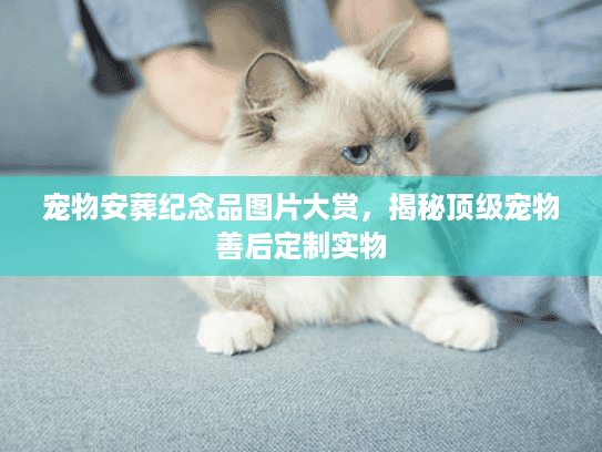 宠物安葬纪念品图片大赏，揭秘顶级宠物善后定制实物