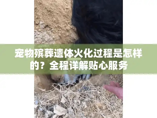 宠物殡葬遗体火化过程是怎样的？全程详解贴心服务