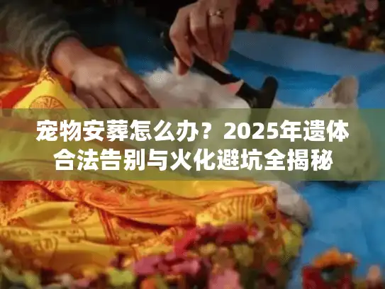 宠物安葬怎么办?2025年遗体合法告别与火化避坑全揭秘 宠物安葬怎么办?2025年遗体合法告别与火化避坑全揭秘