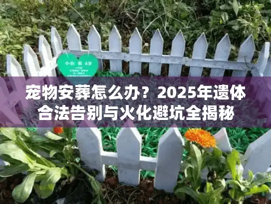宠物安葬怎么办?2025年遗体合法告别与火化避坑全揭秘 宠物安葬怎么办?2025年遗体合法告别与火化避坑全揭秘