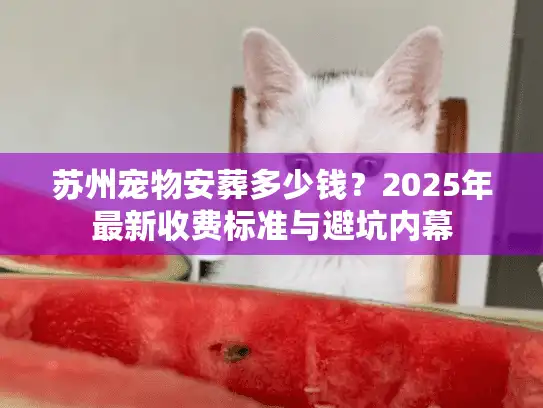 苏州宠物安葬多少钱？2025年最新收费标准与避坑内幕