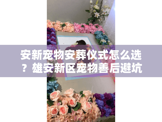 安新宠物安葬仪式怎么选?雄安新区宠物善后避坑实录 安新宠物安葬仪式怎么选?雄安新区宠物善后避坑实录