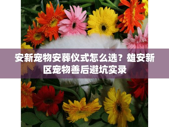 安新宠物安葬仪式怎么选?雄安新区宠物善后避坑实录 安新宠物安葬仪式怎么选?雄安新区宠物善后避坑实录