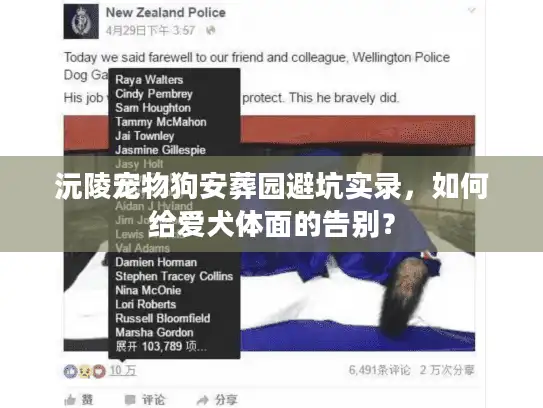 沅陵宠物狗安葬园避坑实录,如何给爱犬体面的告别? 沅陵宠物狗安葬园避坑实录,如何给爱犬体面的告别?