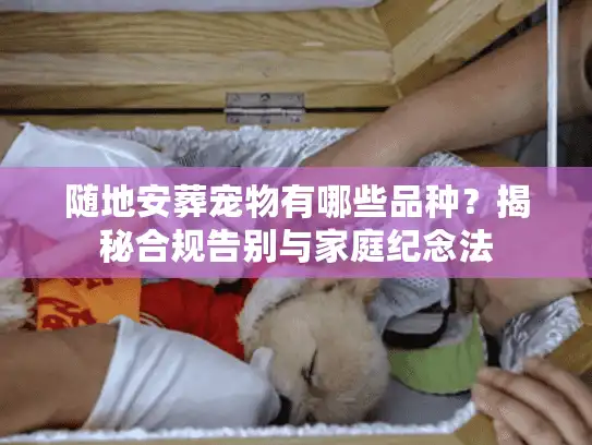 随地安葬宠物有哪些品种？揭秘合规告别与家庭纪念法