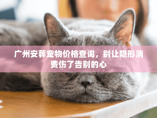 广州安葬宠物价格查询，别让隐形消费伤了告别的心