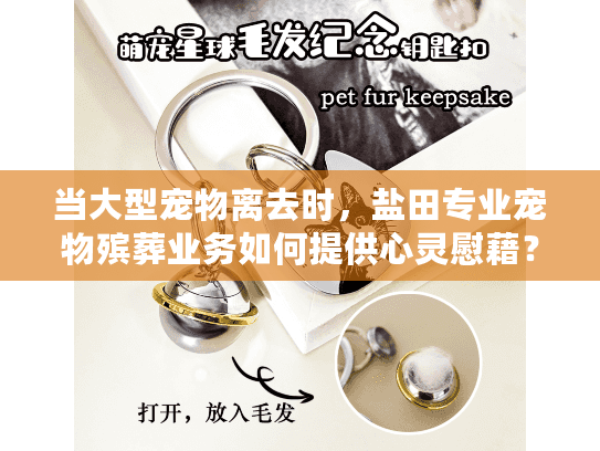 当大型宠物离去时，盐田专业宠物殡葬业务如何提供心灵慰藉？