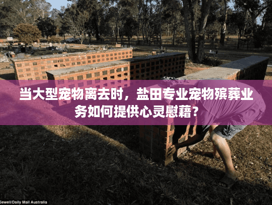 当大型宠物离去时，盐田专业宠物殡葬业务如何提供心灵慰藉？