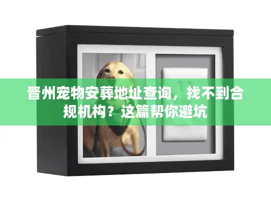 晋州宠物安葬地址查询，找不到合规机构？这篇帮你避坑
