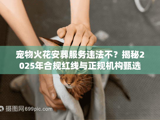 宠物火花安葬服务违法不？揭秘2025年合规红线与正规机构甄选