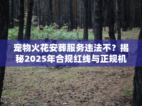 宠物火花安葬服务违法不？揭秘2025年合规红线与正规机构甄选