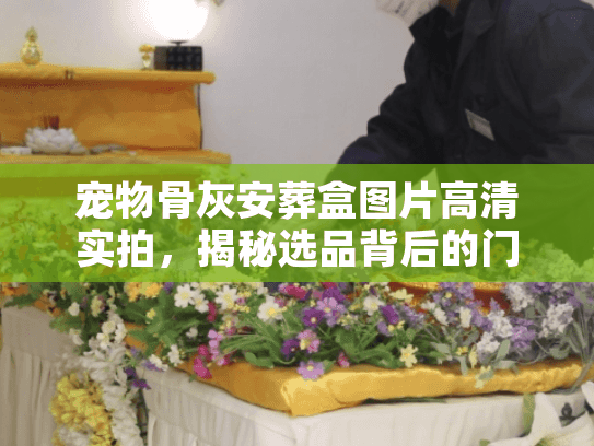 宠物骨灰安葬盒图片高清实拍,揭秘选品背后的门道 宠物骨灰安葬盒图片高清实拍,揭秘选品背后的门道