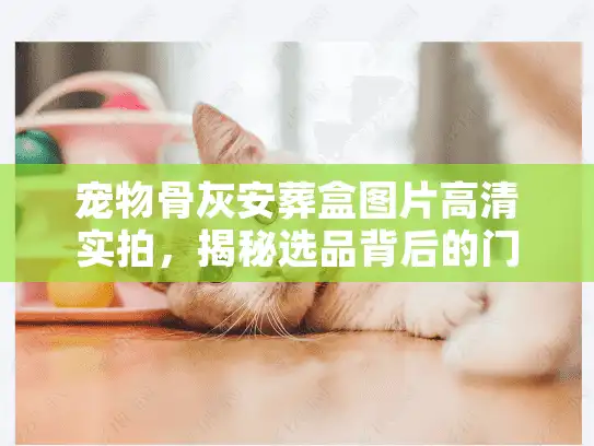 宠物骨灰安葬盒图片高清实拍,揭秘选品背后的门道 宠物骨灰安葬盒图片高清实拍,揭秘选品背后的门道