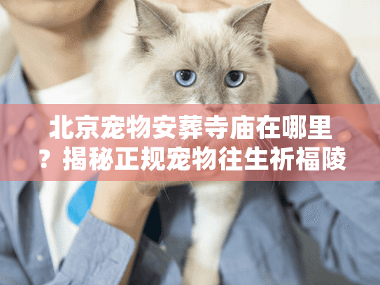 北京宠物安葬寺庙在哪里？揭秘正规宠物往生祈福陵园真容