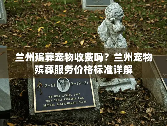 兰州殡葬宠物收费吗？兰州宠物殡葬服务价格标准详解