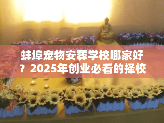 蚌埠宠物安葬学校哪家好？2025年创业必看的择校内幕