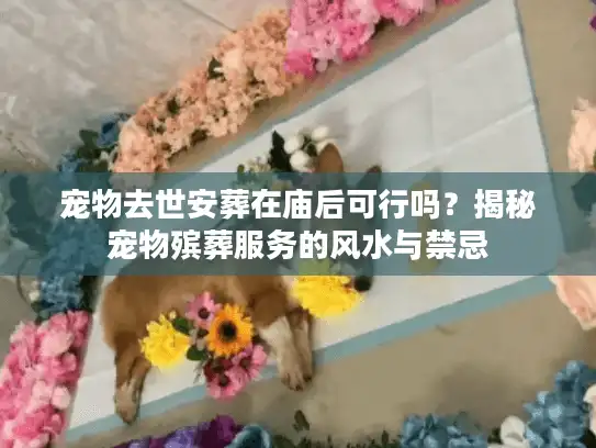 宠物去世安葬在庙后可行吗？揭秘宠物殡葬服务的风水与禁忌