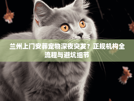 兰州上门安葬宠物深夜突发？正规机构全流程与避坑细节