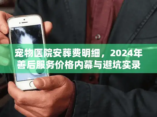 宠物医院安葬费明细，2024年善后服务价格内幕与避坑实录