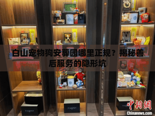 白山宠物狗安葬园哪里正规？揭秘善后服务的隐形坑