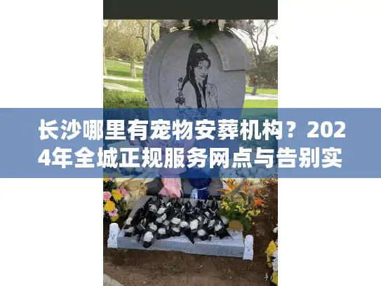 长沙哪里有宠物安葬机构？2024年全城正规服务网点与告别实况
