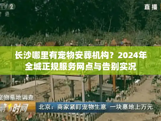长沙哪里有宠物安葬机构？2024年全城正规服务网点与告别实况