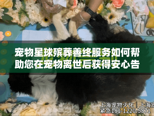 宠物星球殡葬善终服务如何帮助您在宠物离世后获得安心告别？