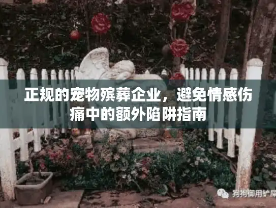 正规的宠物殡葬企业,避免情感伤痛中的额外陷阱指南 正规的宠物殡葬企业,避免情感伤痛中的额外陷阱指南