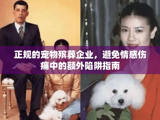 正规的宠物殡葬企业,避免情感伤痛中的额外陷阱指南 正规的宠物殡葬企业,避免情感伤痛中的额外陷阱指南