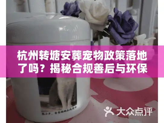 杭州转塘安葬宠物政策落地了吗？揭秘合规善后与环保告别
