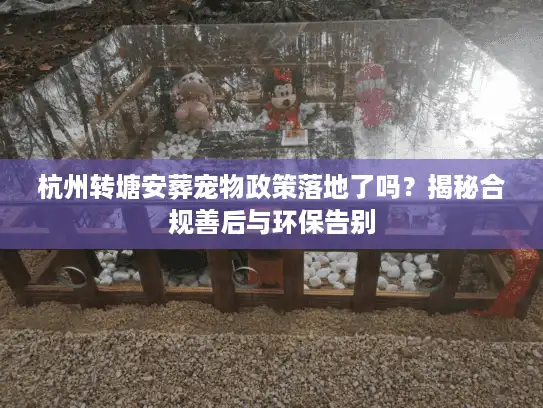 杭州转塘安葬宠物政策落地了吗？揭秘合规善后与环保告别