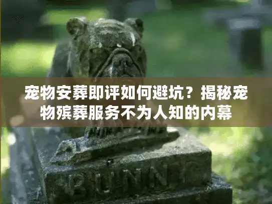 宠物安葬即评如何避坑？揭秘宠物殡葬服务不为人知的内幕