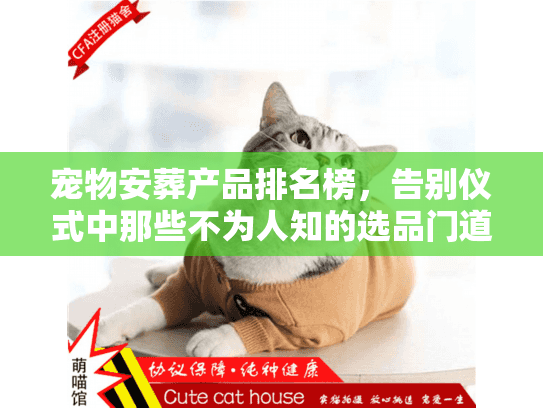 宠物安葬产品排名榜，告别仪式中那些不为人知的选品门道