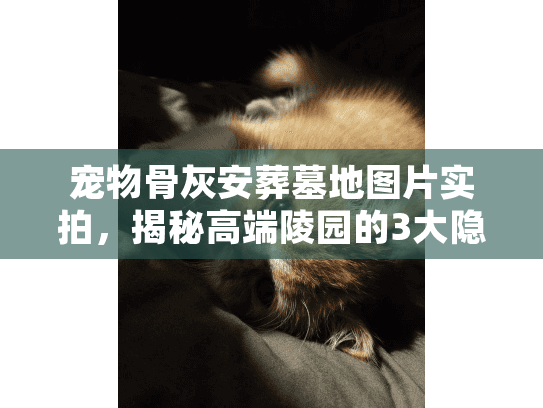 宠物骨灰安葬墓地图片实拍，揭秘高端陵园的3大隐藏细节