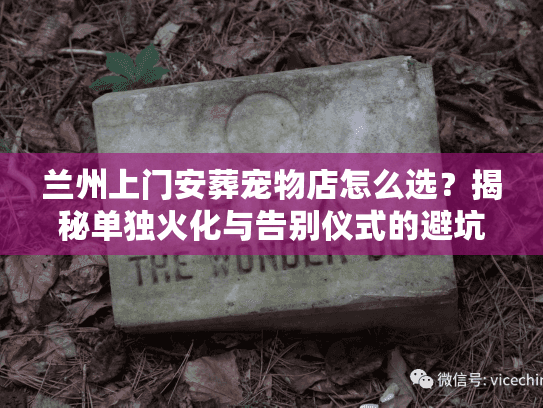 兰州上门安葬宠物店怎么选？揭秘单独火化与告别仪式的避坑门道