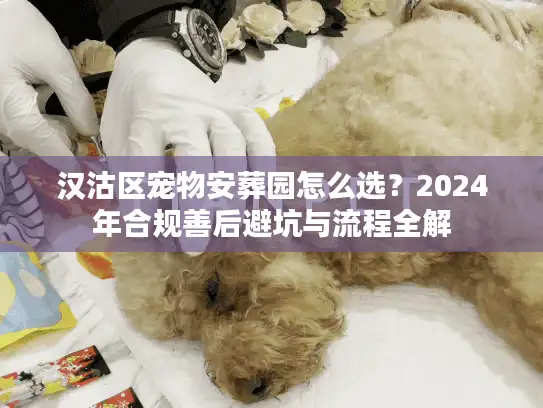 汉沽区宠物安葬园怎么选？2024年合规善后避坑与流程全解