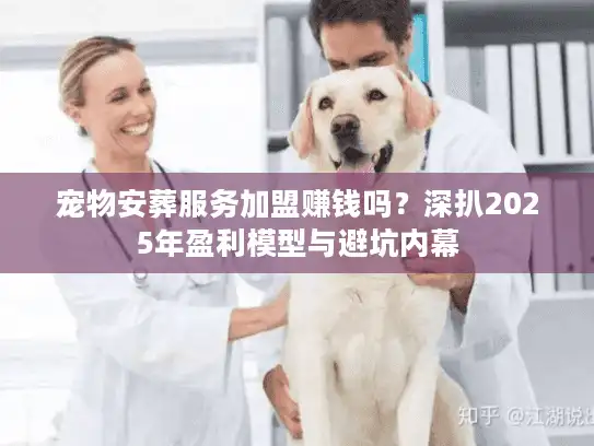 宠物安葬服务加盟赚钱吗？深扒2025年盈利模型与避坑内幕