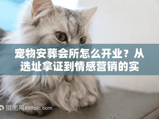 宠物安葬会所怎么开业？从选址拿证到情感营销的实战拆解