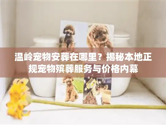 温岭宠物安葬在哪里?揭秘本地正规宠物殡葬服务与价格内幕 温岭宠物安葬在哪里?揭秘本地正规宠物殡葬服务与价格内幕