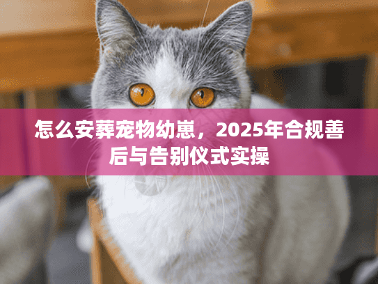 怎么安葬宠物幼崽，2025年合规善后与告别仪式实操