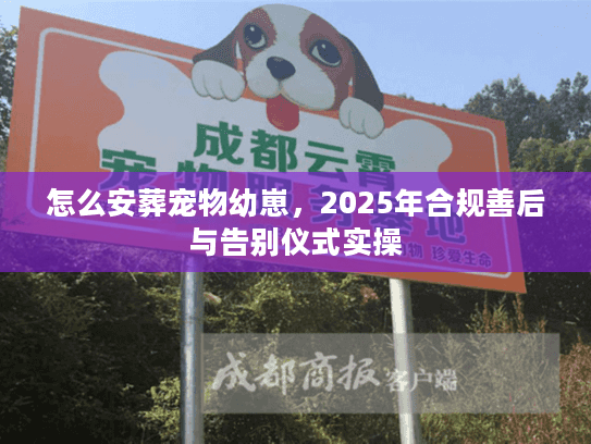 怎么安葬宠物幼崽，2025年合规善后与告别仪式实操