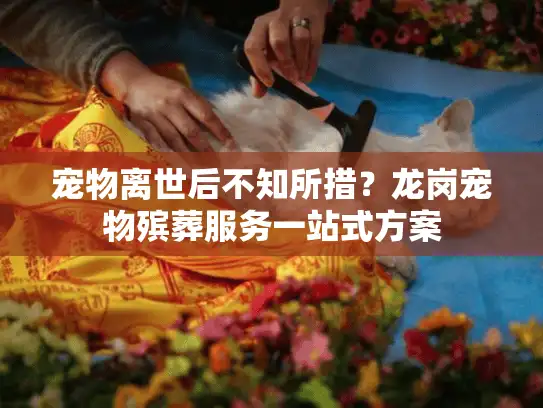 宠物离世后不知所措?龙岗宠物殡葬服务一站式方案 宠物离世后不知所措?龙岗宠物殡葬服务一站式方案