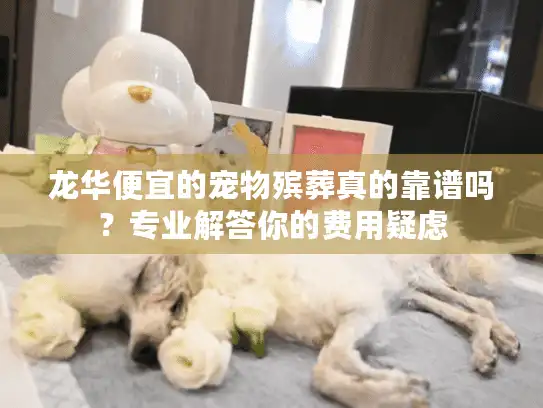 龙华便宜的宠物殡葬真的靠谱吗?专业解答你的费用疑虑 龙华便宜的宠物殡葬真的靠谱吗?专业解答你的费用疑虑