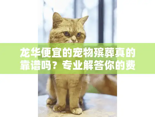 龙华便宜的宠物殡葬真的靠谱吗?专业解答你的费用疑虑 龙华便宜的宠物殡葬真的靠谱吗?专业解答你的费用疑虑