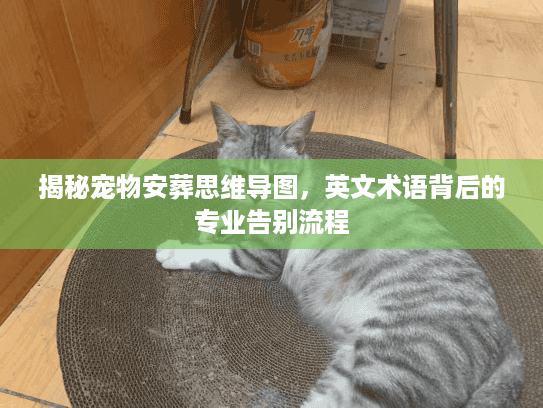 揭秘宠物安葬思维导图，英文术语背后的专业告别流程