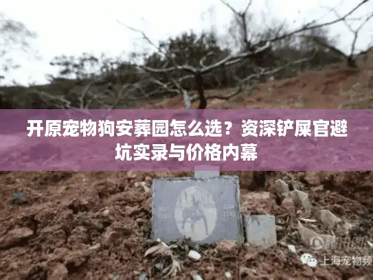 开原宠物狗安葬园怎么选？资深铲屎官避坑实录与价格内幕