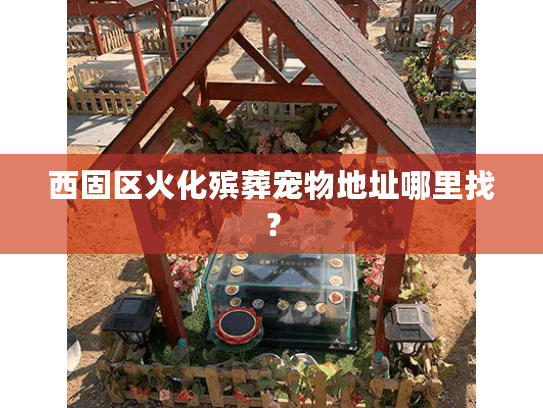 西固区火化殡葬宠物地址哪里找？