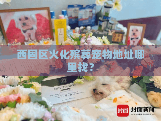 西固区火化殡葬宠物地址哪里找？