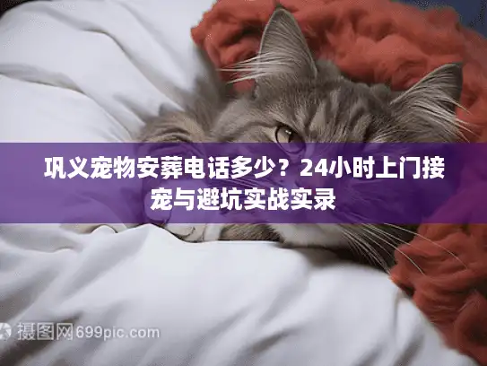 巩义宠物安葬电话多少？24小时上门接宠与避坑实战实录