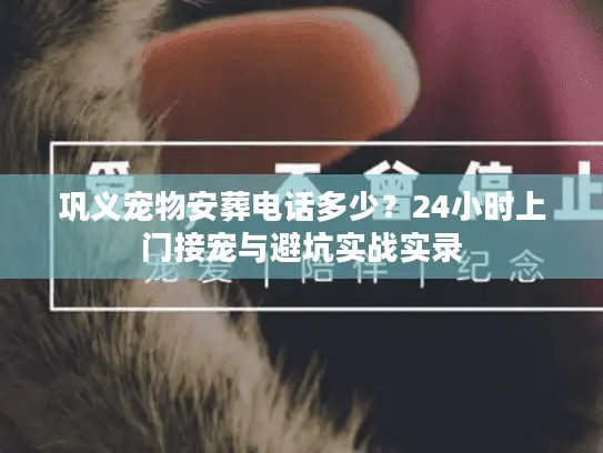 巩义宠物安葬电话多少？24小时上门接宠与避坑实战实录